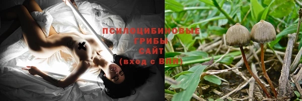 МДПВ Алексеевка