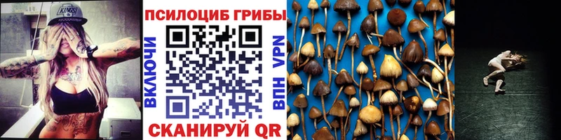 площадка какой сайт  Туринск  Галлюциногенные грибы ЛСД  omg tor 